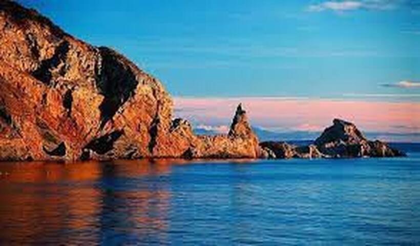 Halekulani Devon Homestay توركواي المظهر الخارجي الصورة