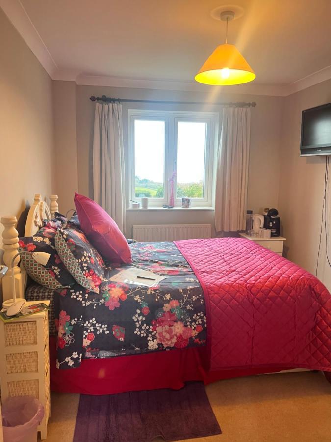 Halekulani Devon Homestay توركواي المظهر الخارجي الصورة